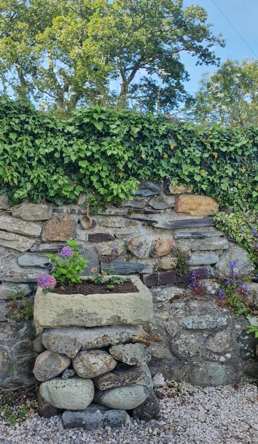 Green Cottage - Snowdonia Llanllechid Exterior photo
